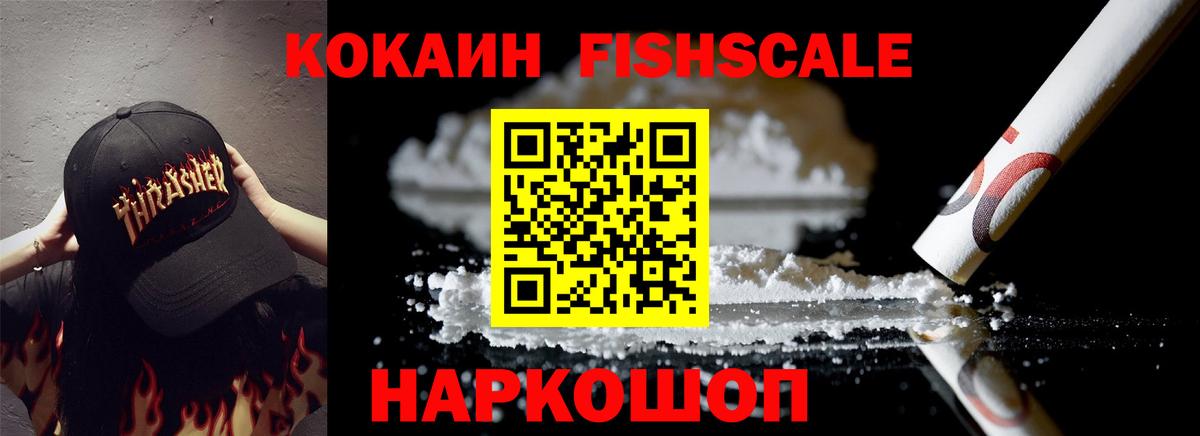 Cocaine Fish Scale  Кулебаки  COCAIN Columbia 
