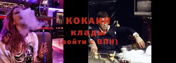 ПСИЛОЦИБИНОВЫЕ ГРИБЫ Новозыбков