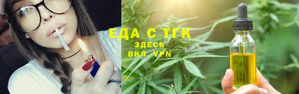ПСИЛОЦИБИНОВЫЕ ГРИБЫ Новозыбков