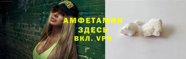 ПСИЛОЦИБИНОВЫЕ ГРИБЫ Новозыбков