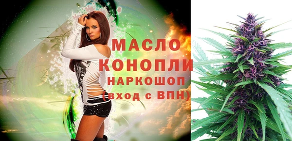 ПСИЛОЦИБИНОВЫЕ ГРИБЫ Новозыбков