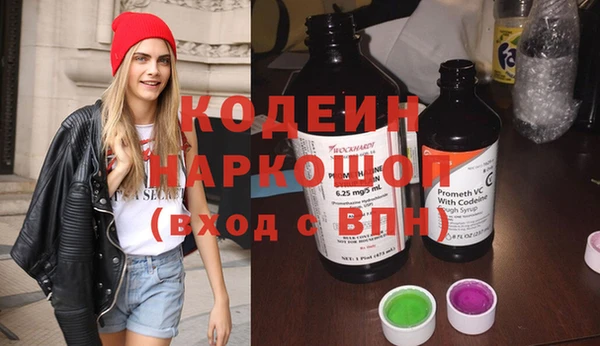 ПСИЛОЦИБИНОВЫЕ ГРИБЫ Новозыбков