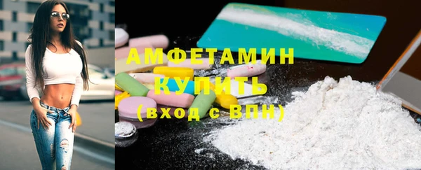 ПСИЛОЦИБИНОВЫЕ ГРИБЫ Новозыбков