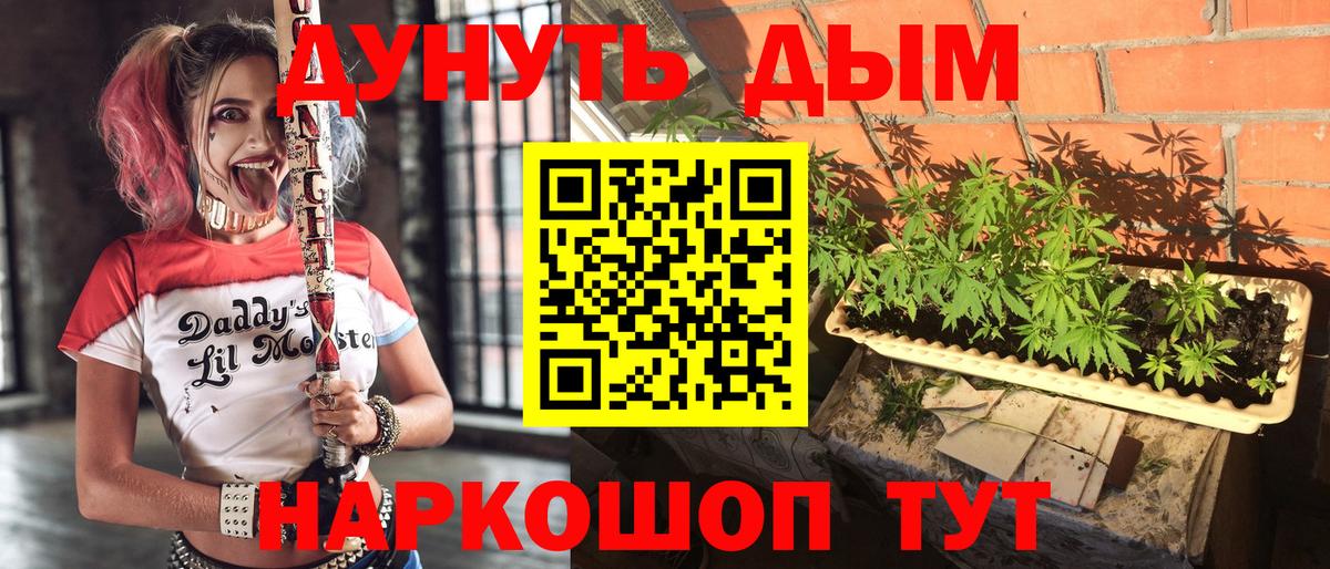 Конопля индика  Кулебаки  Канабис планчик  Каннабис AK-47  Конопля SATIVA & INDICA 
